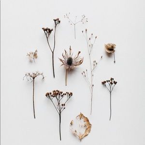 Meet your Posher, Wanda